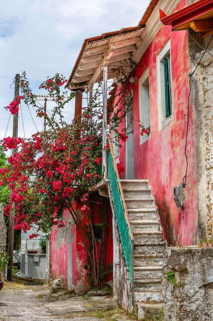 The Durrells in Corfu Town: Private tour - Insights into Gerald and Lawrence Durrell’s Literary Legacy