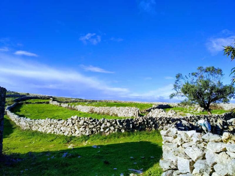 The Earth Remembers: SUV Tour in Serras de Aire e Candeeiros - Key Points