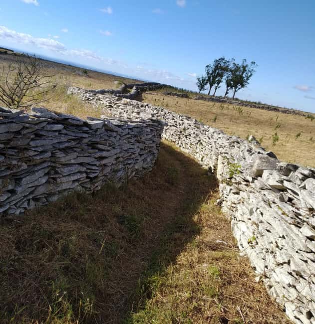 The Earth Remembers: SUV Tour in Serras de Aire e Candeeiros - Discover the Starting Point: Retiro da Avó Lídia in Mendiga