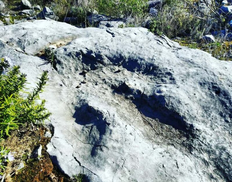 The Earth Remembers: SUV Tour in Serras de Aire e Candeeiros - Exploring Limestone Caves: Algar e Lapa dos Pocilgões