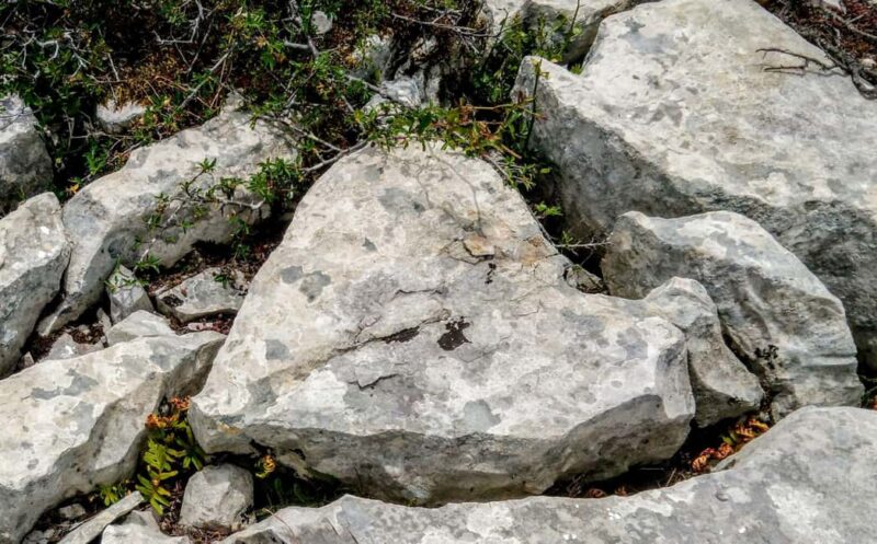 The Earth Remembers: SUV Tour in Serras de Aire e Candeeiros - Who Should Consider This Experience?