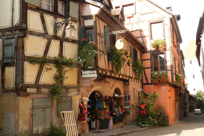 The Emblematic: visit of villages, Haut-Koenigsbourg, Wine tasting - Guides and Personalities: Knowledgeable and Friendly