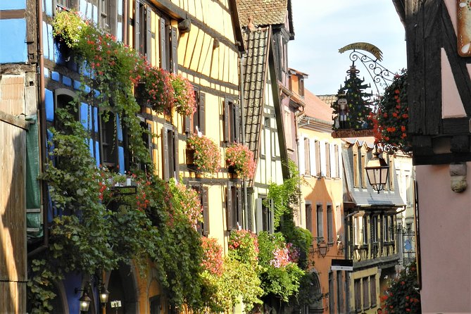 The Emblematic: visit of villages, Haut-Koenigsbourg, Wine tasting - The Quality of the Wine Tasting Experience