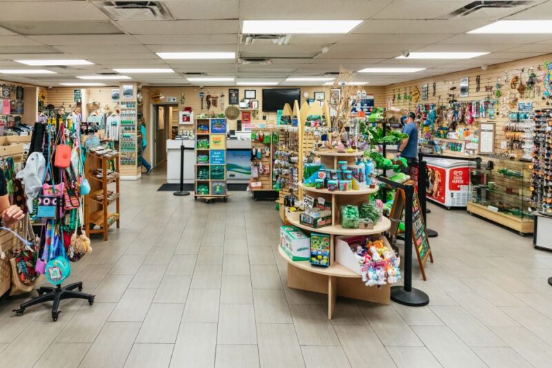 The Everglades: 1-Hour Airboat Night Tour - Comparing This Tour to Other Everglades Experiences