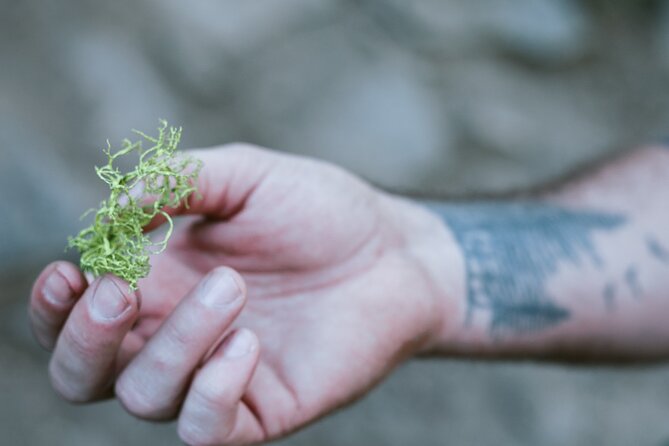 The Evolution of Yosemite 3 Hour Walking Tour - Key Points