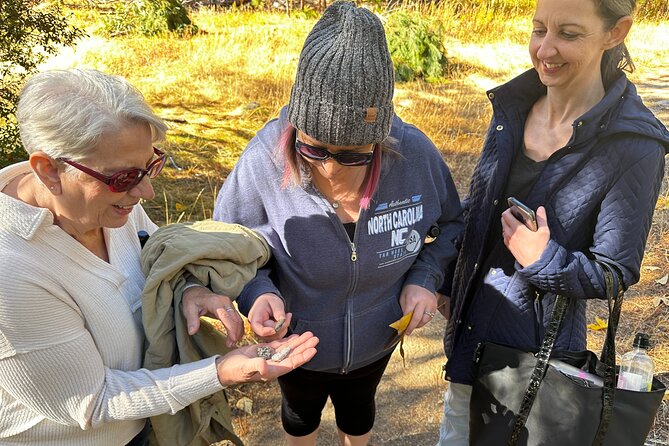 The Evolution of Yosemite 3 Hour Walking Tour - Unraveling the Mysteries of Yosemite Falls