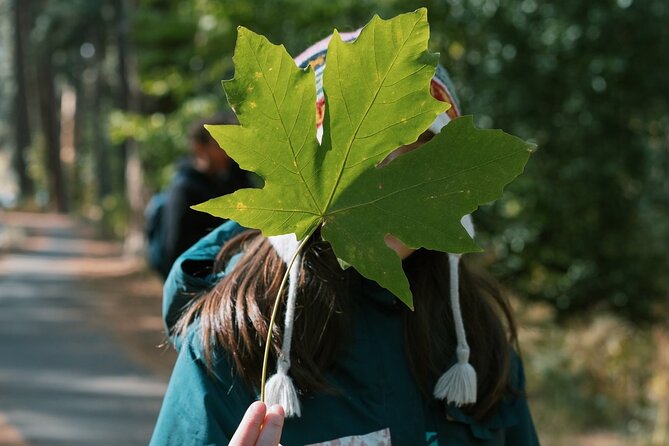 The Evolution of Yosemite 3 Hour Walking Tour - Physical Requirements and Accessibility