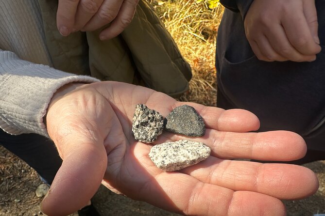 The Evolution of Yosemite 3 Hour Walking Tour - Booking, Cancellation, and Popularity