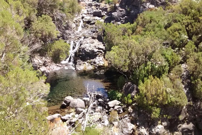 The Fantastic Cascades - Starting Point and Tour Logistics in Funchal