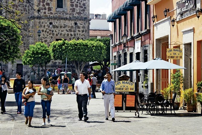 The Fire TOUR - Pyramids, Volcanoes, Agaves & Tequila - Viewing Endless Blue Agave Fields