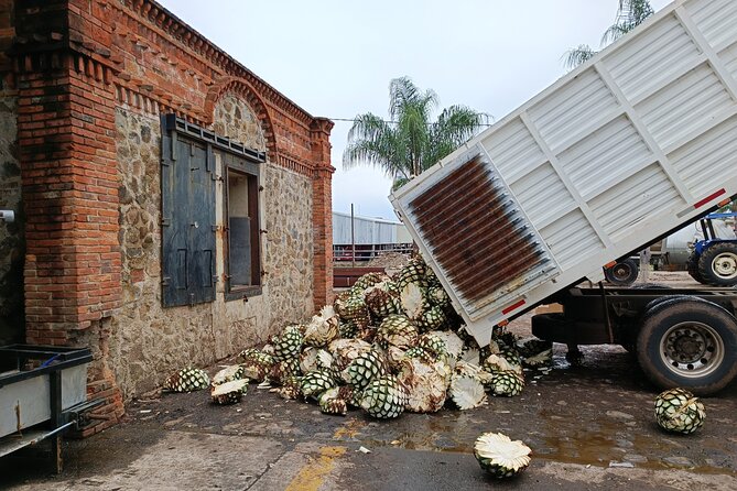 The Fire TOUR - Pyramids, Volcanoes, Agaves & Tequila - Convenient Logistics and Comfortable Transport