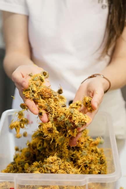 The flavours of Greece Tasting: Spot on the map and discover - Choosing a Region and Discovering a Special Greek Product