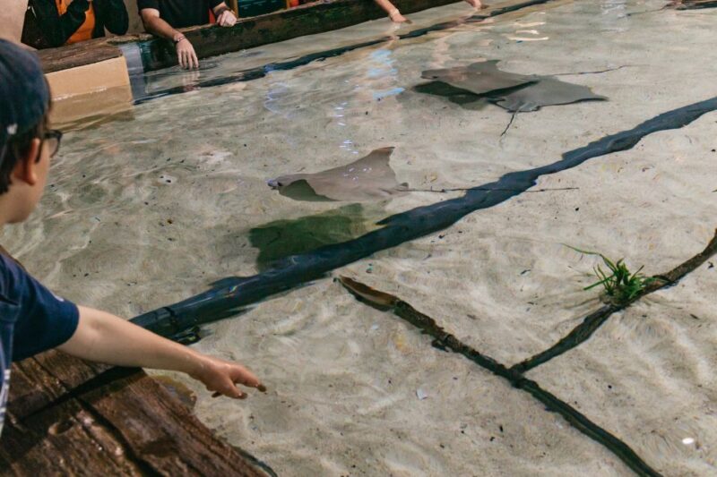 The Florida Aquarium Ticket - Discover Florida-specific Marine Life and Global Species