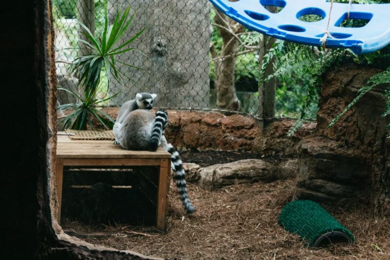 The Florida Aquarium Ticket - The Aquarium’s Unique Features: Bird Aviary and Coral Gallery