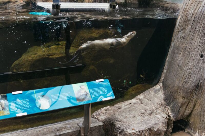 The Florida Aquarium Ticket - The Sum Up: A Well-rounded Marine Life Experience in Tampa