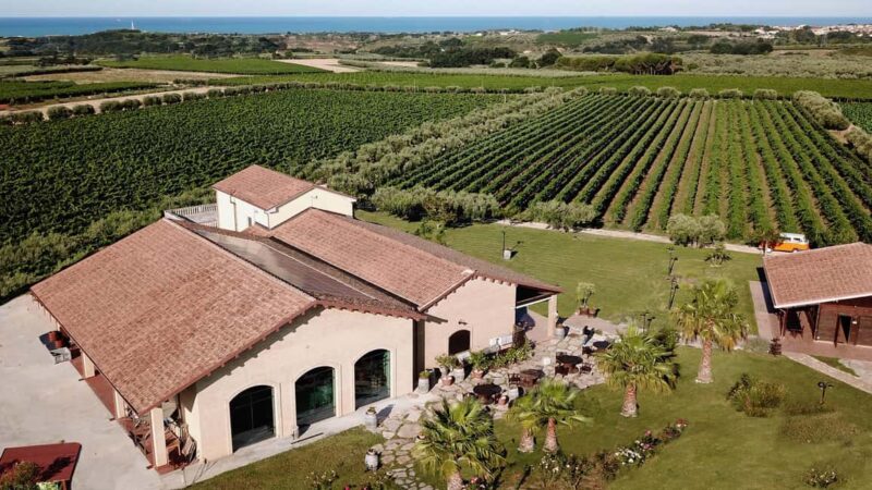 The Fontefico Style: a guided tour of the winery and a tasting lunch - The Fontefico Style: a guided tour of the winery and a tasting lunch
