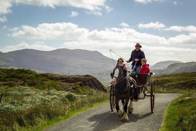 The Gap of Dunloe Adventure Day Tour from Killarney - Local Guides and Storytelling