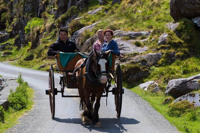 The Gap of Dunloe Full-Day Tour from Killarney - The Lakes of Killarney Boat Trip
