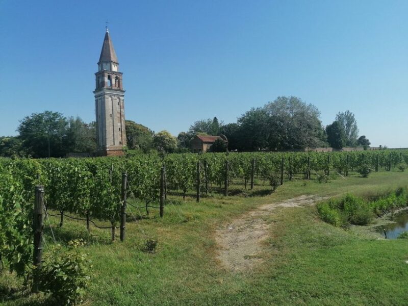 The gems of the lagoon. Torcello Burano Murano - Navigating Venice’s Lagoon by Vaporetto