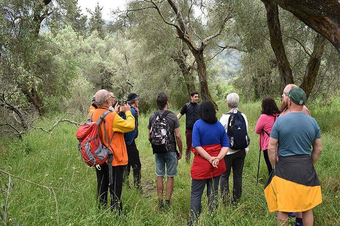 The Governor's Olive Mill Tour with Olive Oil Tasting - Who Will Enjoy This Tour?
