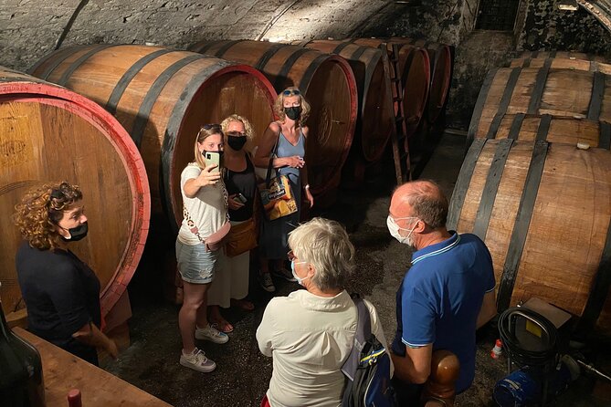 The Grand tour of Valpolicella: 2 Wineries, Lunch & Amarone focus - Key Points