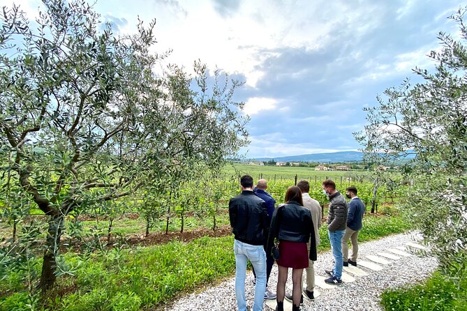The Grand tour of Valpolicella: 2 Wineries, Lunch & Amarone focus - Exclusive Amarone Tasting in Multiple Vintages