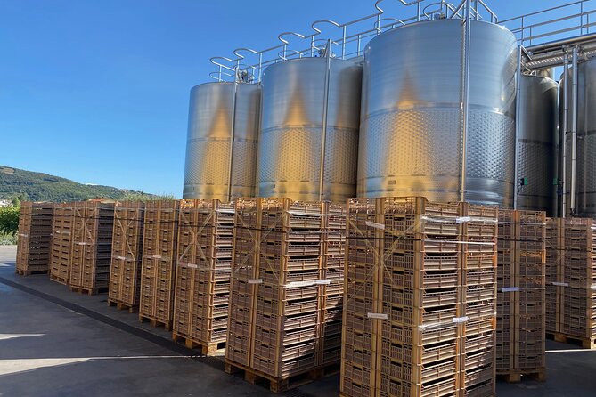 The Grand tour of Valpolicella: 2 Wineries, Lunch & Amarone focus - The Guided Experience and Transportation Comfort