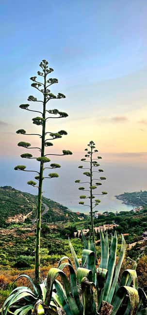 The Granite Trail with a gourmet aperitif: Elba between nature and flavors - Roman Columns and Prehistoric Sites Along the Path