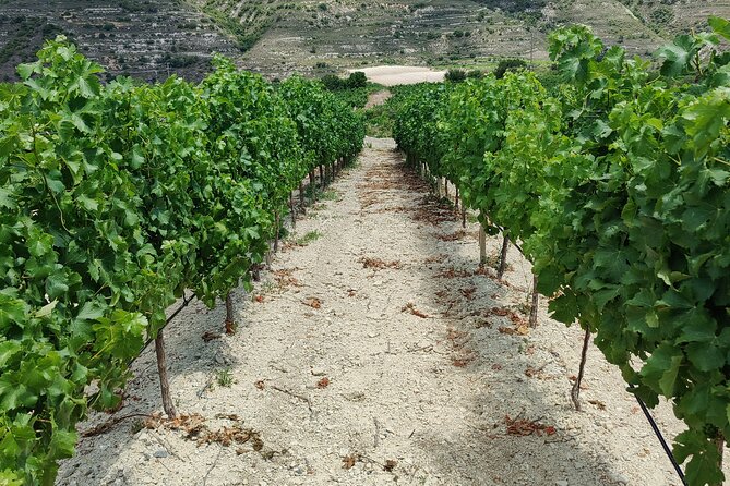 The Grape Escape: Troodos Mountains thru Wine Small Group Tour 6hrs - Scenic Drive and Rural Village Experiences