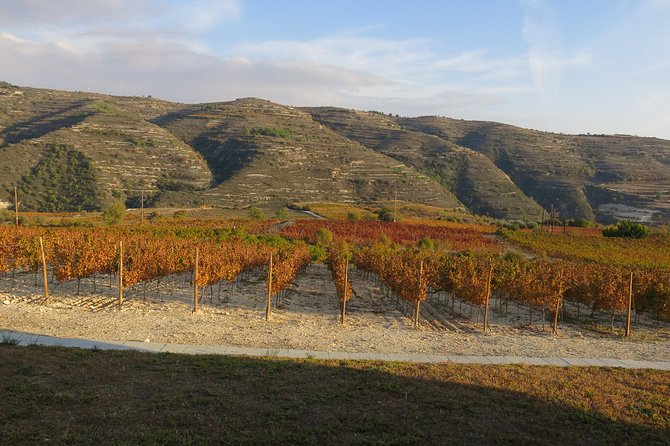 The Grape Escape: Troodos Mountains thru Wine Small Group Tour 6hrs - Practical Details and Booking