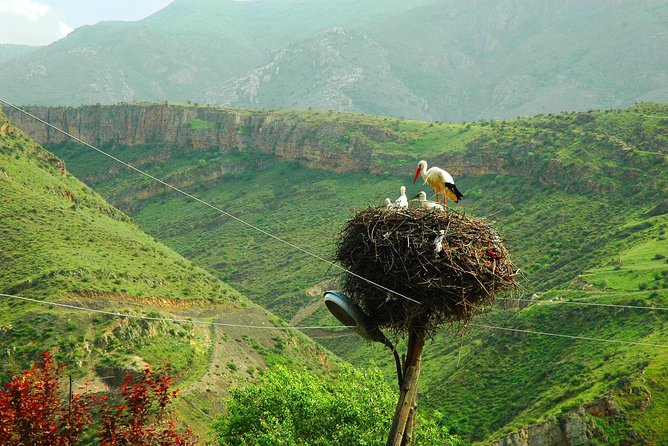 The Great Beauty of Armenia: 7-Day Culture and Cuisine Tour - Exploring the Silk Road History and Armenian Cemeteries