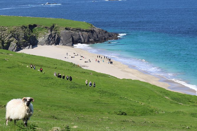 The Great Blasket Island Experience - Premium Tour - Key Points