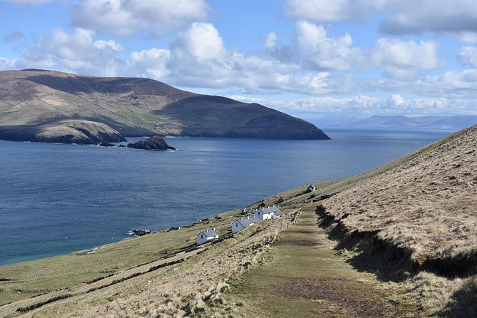 The Great Blasket Island Experience - Premium Tour - Wildlife Encounters and Scenic Highlights