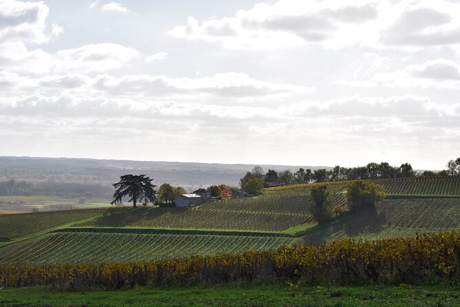 The Great Sauternes Wine Tour - Who Will Enjoy the Great Sauternes Wine Tour?