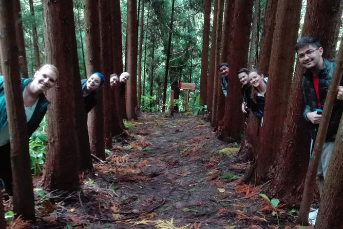 The Great waterfalls Hiking tour - Physical Activity and Suitability