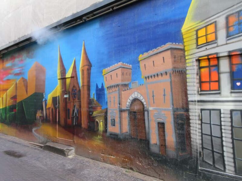 The Hague: a guided tour in French, mixing Street Art and History - Key Points