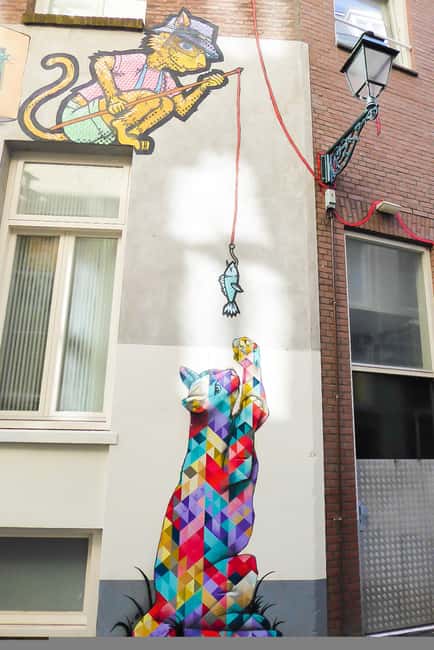 The Hague: a guided tour in French, mixing Street Art and History - Accessibility and Flexibility of the Tour