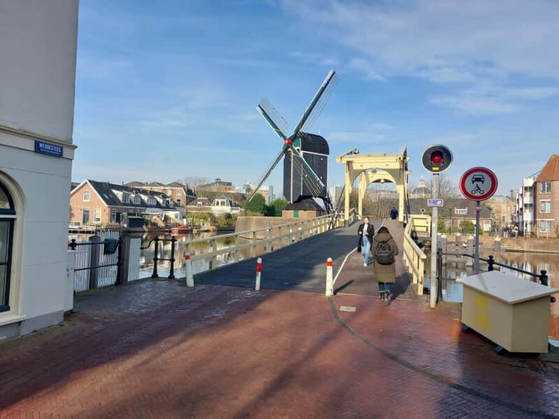 The Hague and Leiden: Private Tour with Local Guide - Practical Details and Meeting Points