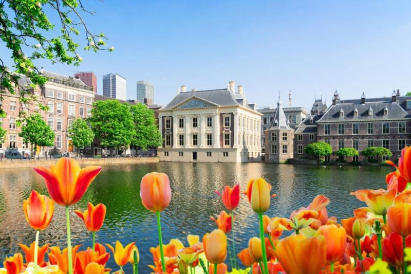 The Hague: Insta-Perfect Walk with a Local - Key Points
