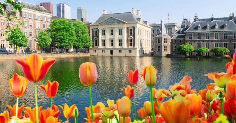 The Hague: Insta-Perfect Walk with a Local - Logistics and Group Experience Details