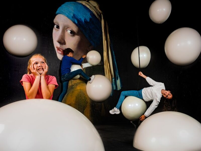 The Hague: Madurodam Miniature Park Entry Ticket - The Art of the Dutch Masters: Van Gogh, Mondrian, and Vermeer