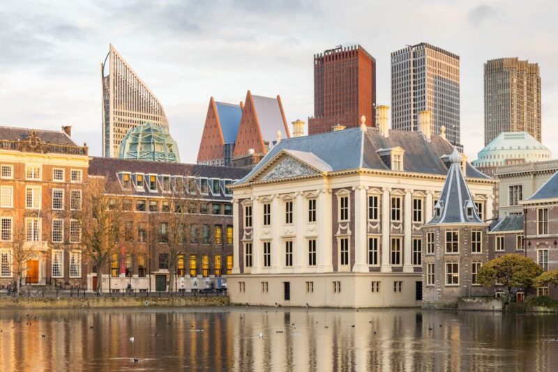 The Hague: Mauritshuis Entrance Ticket - The Overall Value of the Mauritshuis Entrance Ticket