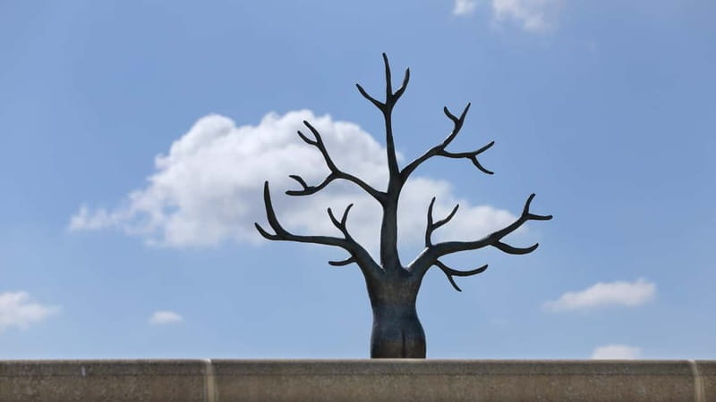 The Hague: Museum Beelden aan Zee Entry Ticket - Key Points