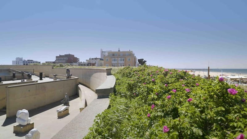 The Hague: Museum Beelden aan Zee Entry Ticket - Practical Details and Accessibility