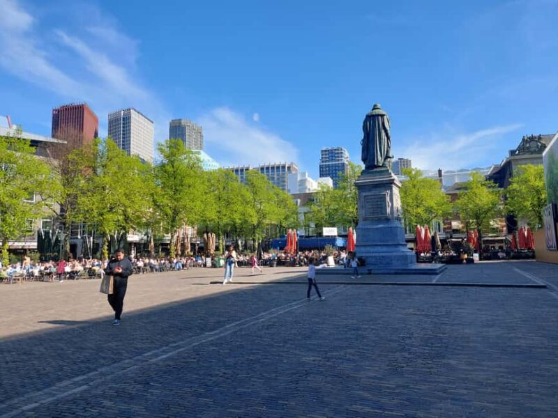 The Hague Private City Tour with an Architect (RU) - Panoramic Viewpoints and Photo Opportunities