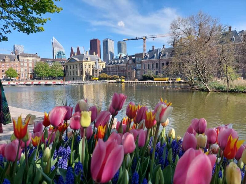 The Hague Private City Tour with an Architect (RU) - The Impact of Dutch Architectural Development