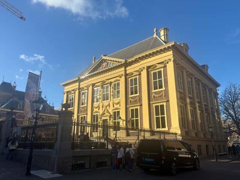 The Hague: Private Guided Tour in the Mauritshuis Museum - Practical Logistics and Convenience