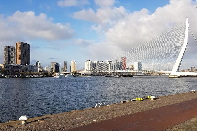 The Hague & Rotterdam: Past and Future Tour - Key Points