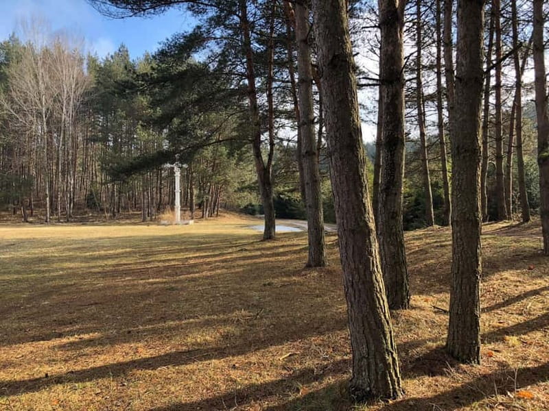 The Hill of Crosses: Full-Day Tour from Vilnius - Lunch and Lithuanian Cuisine Experience