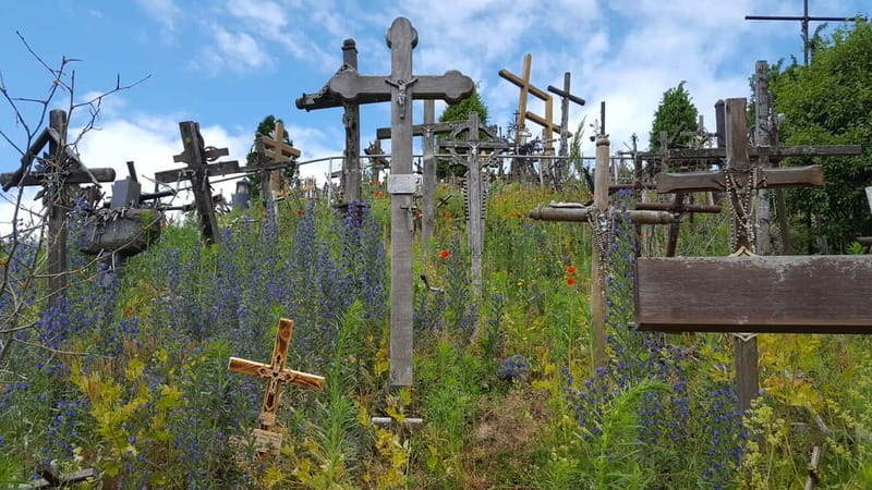 The Hill of Crosses: Full-Day Tour from Vilnius - Review Highlights and What Makes This Tour Stand Out